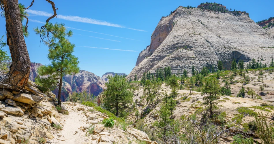 Must-See Spots in South Lake Tahoe for Nature & City Lovers